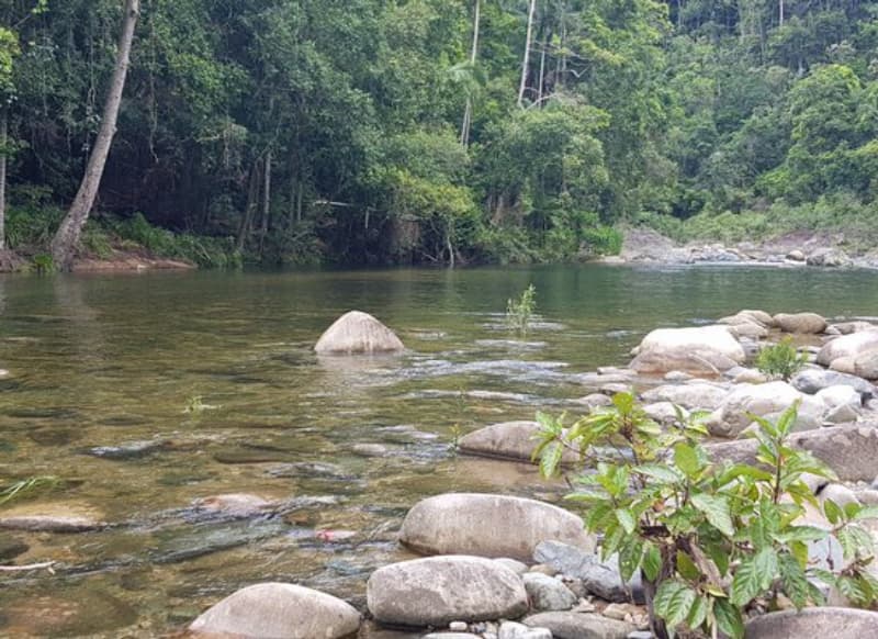 Swimming Holes Mackay