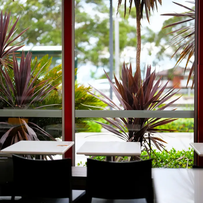A light-filled cafe interior in Sydney