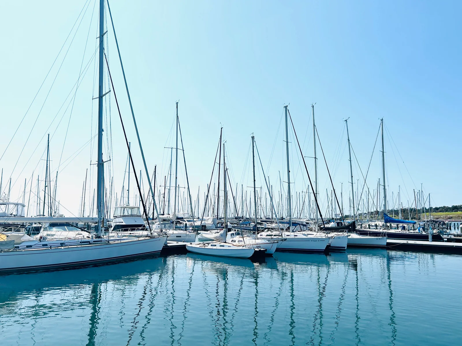 Yachts in Geelong harbour under a blue sky