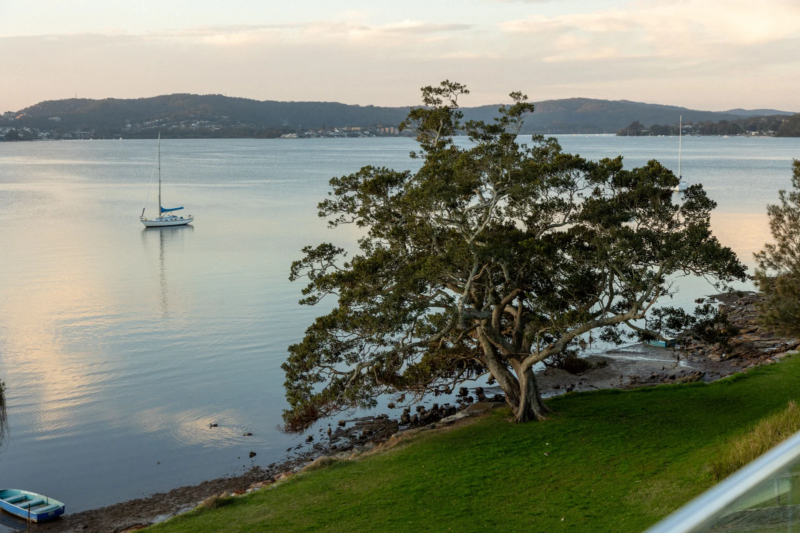 Tree and sailing boat beside Lake Macquarie at dusk