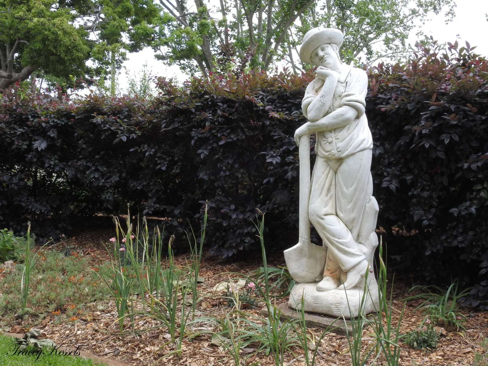 Garden sculpture among greenery in East Toowoomba